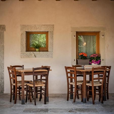 Agriturismo Il Bosco Camere Vittorio Veneto Zewnętrze zdjęcie