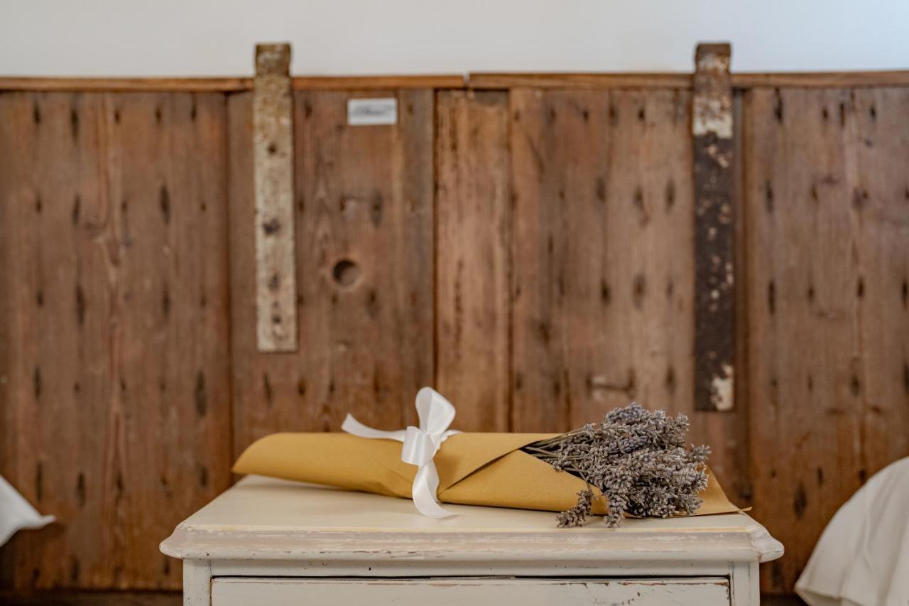 Agriturismo Il Bosco Camere Vittorio Veneto Zewnętrze zdjęcie